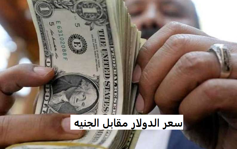 الدولار × الجنيه المصري: “ارتفاع نسبي” سعر الدولار مقابل الجنيه اليوم الثلاثاء 30 أغسطس 2022 في البنوك