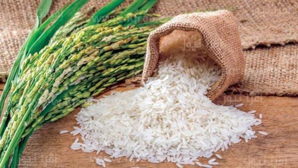 الحكومة المصرية تصدر قرار الحبس عام وغرامة 2 مليون جنيه للممتعني عن بيع الأرز بالأسواق