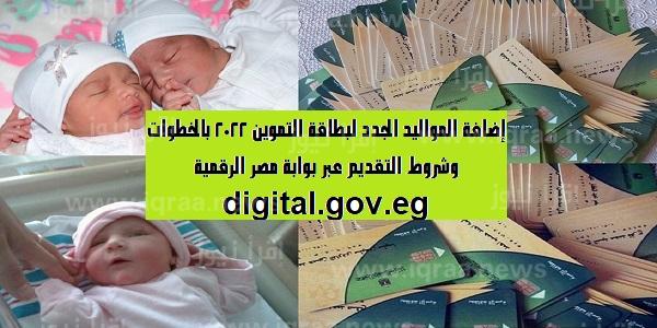 إضافة المواليد الجدد لبطاقة التموين 2022 بالخطوات وشروط التقديم عبر بوابة مصر الرقمية digital.gov.eg