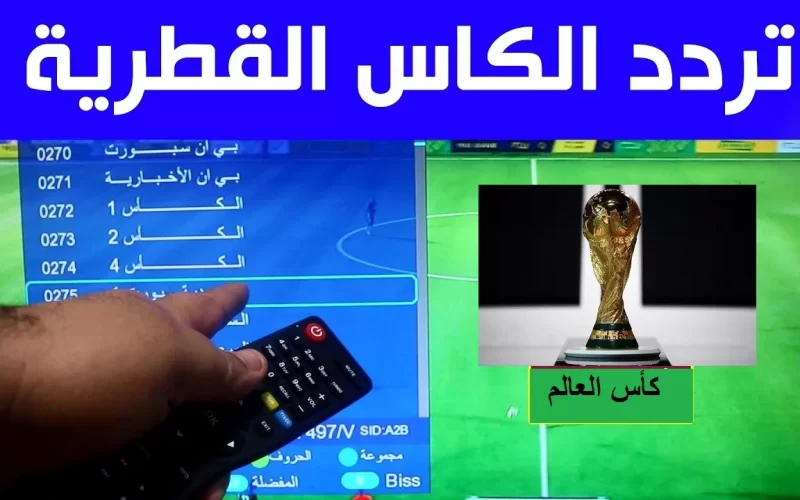 Al-kass HD.. تردد قناة الكأس الرياضية المفتوحة الجديد 2022 على نايل سات وعرب سات