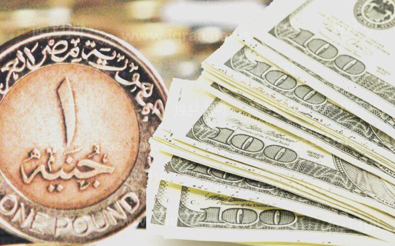 سعر الدولار اليوم مقابل الجنيه المصري ٢٣-١١ USD/EGP اسعار الاربعاء 23 نوفمبر للبيع والشراء