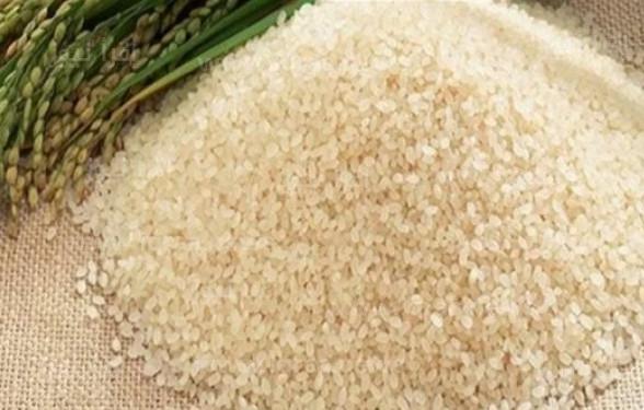 كم سعر طن الأرز في مصر ؟ رغم شائعات ارتفاعه