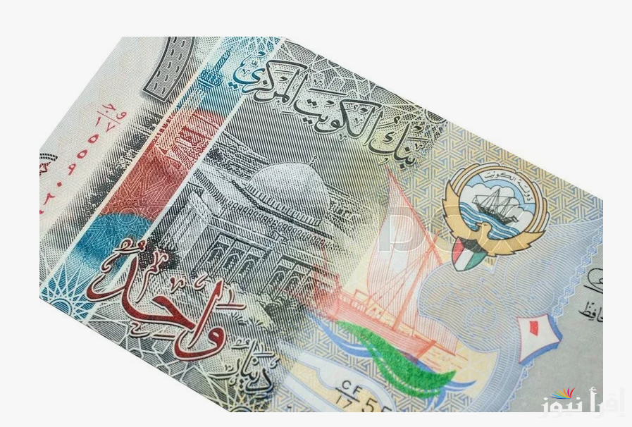 “الكويتي مُستقر”.. سعر الدينار الكويتي اليوم في السوق السوداء الخميس 31 اكتوبر 2024 مقابل الجنيه المصري