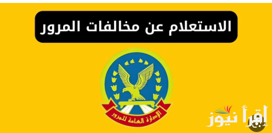 “قبل ما تدفع كتير” .. استعلام عن مخالفات المرور مجانًا بالرقم القومي عبر موقع وزارة الداخلية المصرية traffic.moi.gov.eg