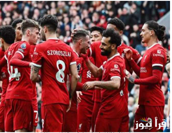 “ليفربول VS برايتون” موعد مباراة ليفربول ضد برايتون في مباريات دور الـ 16 في كأس كاراباو والقنوات الناقلة والتشكيل المتوقع لليفربول