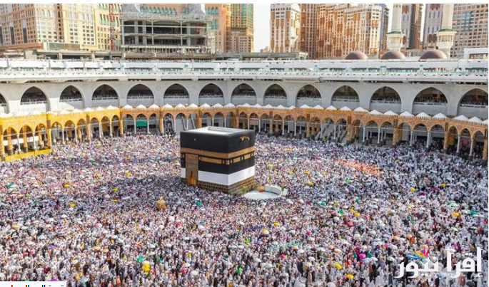 www hajj gov eg استمارة التسجيل في مصر وأهم الشروط والأوراق المطلوبة للتقديم