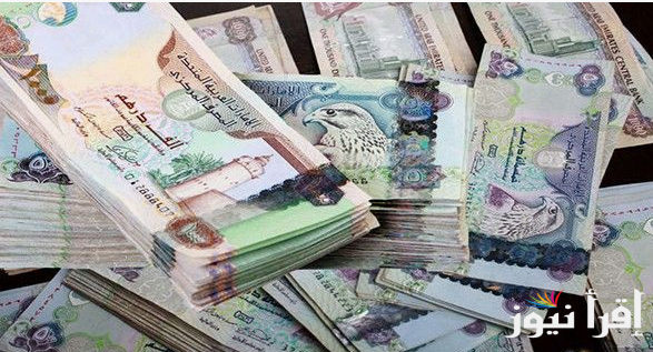 تحديث لحظي.. سعر الدرهم الإماراتي اليوم في السوق السوداء الخميس الموافق 2024/10/31 وفي البنوك المصري