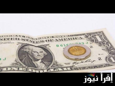 سعر الدولار اليوم البنك الأهلي اليوم الثلاثاء 29-10-2024 في السوق السوداء وجميع البنوك.. اخر تحديث