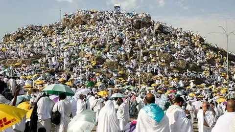 “حالة واحدة مسموح فيها توريثها للغير).. وزارة الداخلية قرعة الحج 2025 عبر موقع /hij.moi.gov.eg