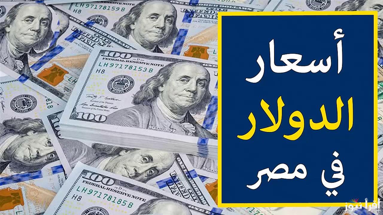 100 دولار كم جنيه مصري؟.. سعر الدولار اليوم مقابل الجنيه المصري السبت 26/10/2024 في السوق السوداء والبنوك