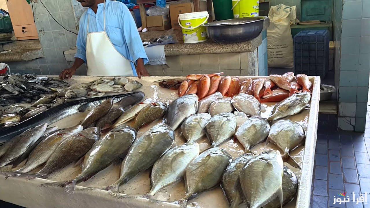 new fish .. اسعار السمك اليوم السبت 26 اكتوبر 2024 داخل الاسواق للمستهلك بلطى وبورى وجمبرى