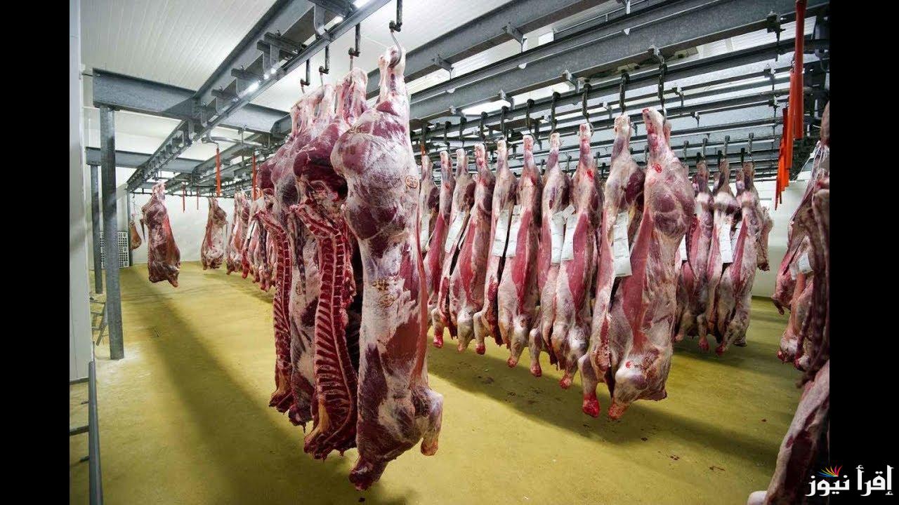 meat moot .. سعر كيلو اللحمة اليوم الاثنين 28 اكتوبر 2024 فى محلات الجزارة والوطنية ومنافذ وزارة الزراعة