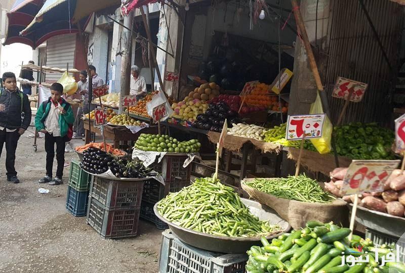 Red tomatoes .. اسعار الطماطم اليوم الاحد 27 اكتوبر 2024 داخل الاسواق واسعار الفاكهة اليوم