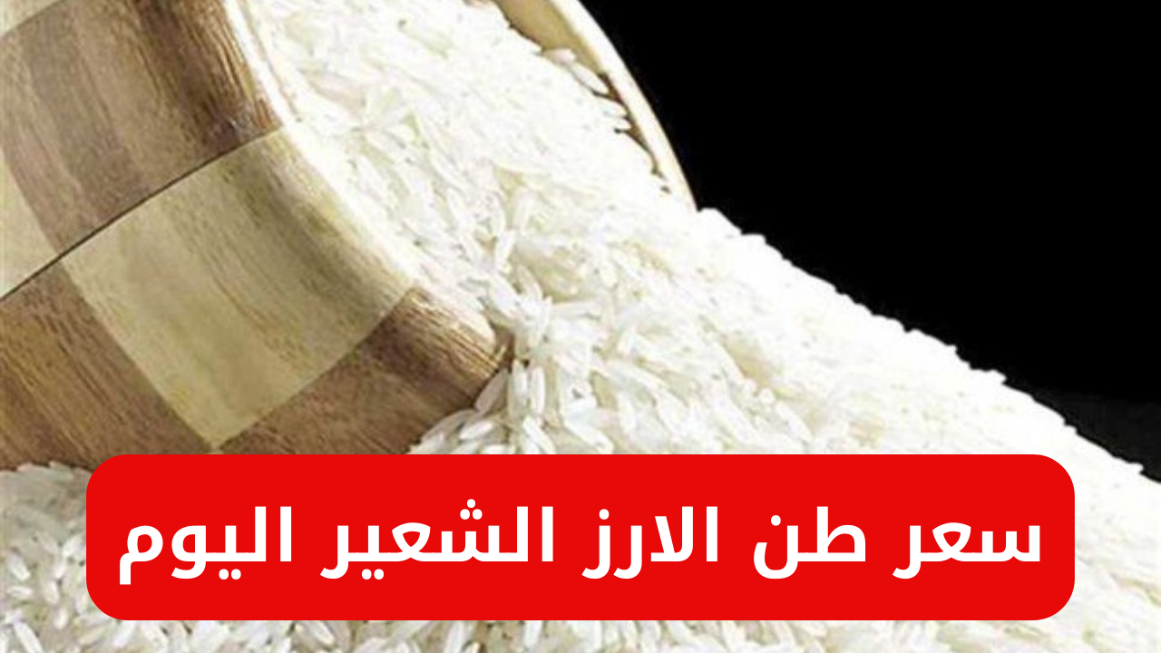 سعر طن الأرز الشعير اليوم الخميس 31-10-2024  وفقا لما أعلن نقيب الفلاحين