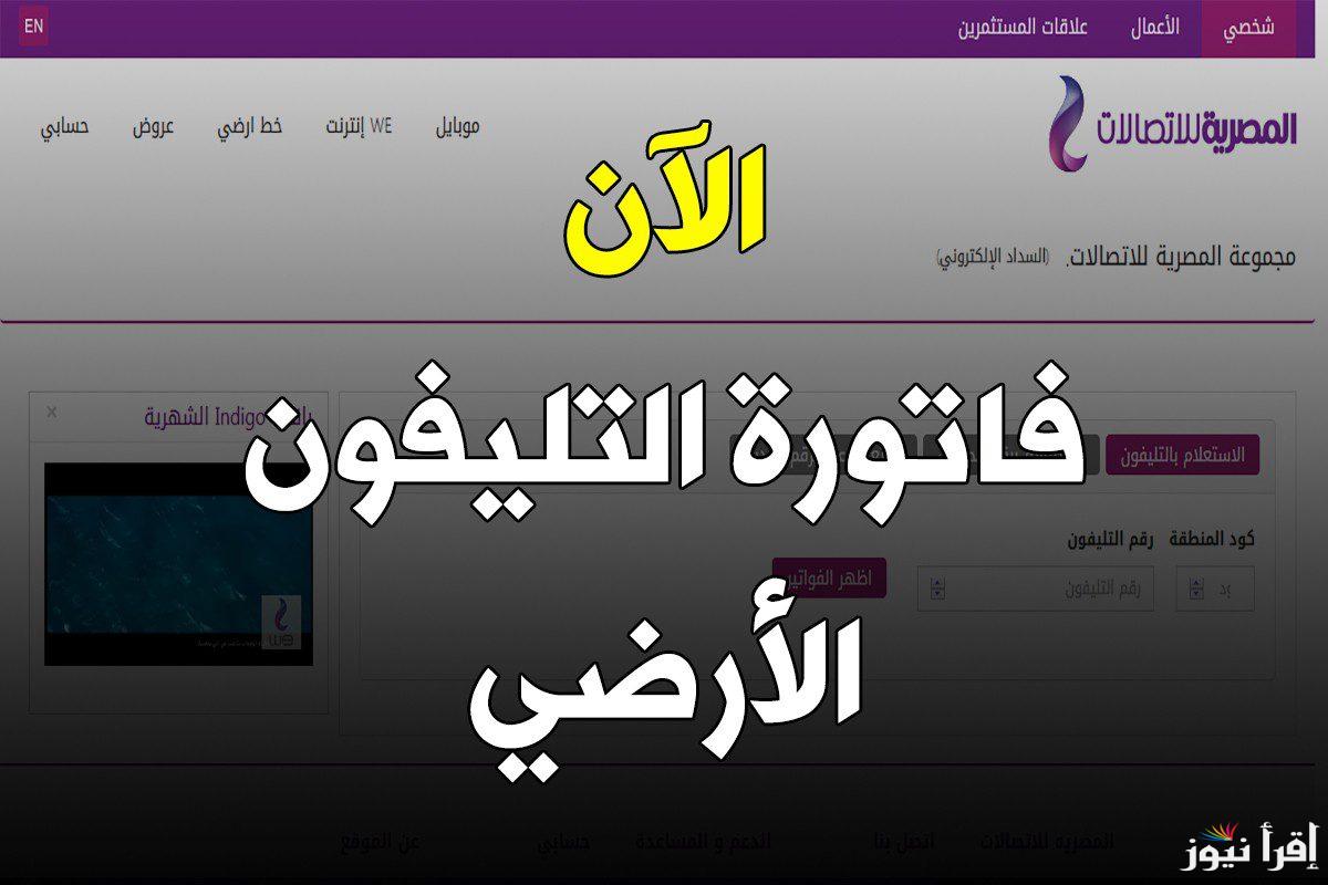 “لينك فعال” موقع الاستعلام عن فاتورة التليفون الأرضي بالرقم 2024 عبر billing.te.eg وطرق سداد الفاتورة