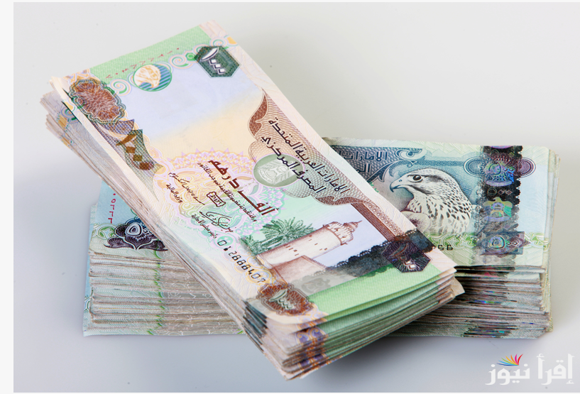 “تذبذب سعر الدرهم” سعر الدرهم الاماراتي اليوم في السوق السوداء الاحد 3 نوفمبر 2024 مقابل الجنية المصري