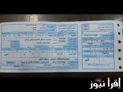 Electricity bill .. الاستعلام عن فاتورة الكهرباء برقم العداد 2024 وخطوات ترشيد الاستهلام بعد ارتفاع اسعار شرائح الكهرباء