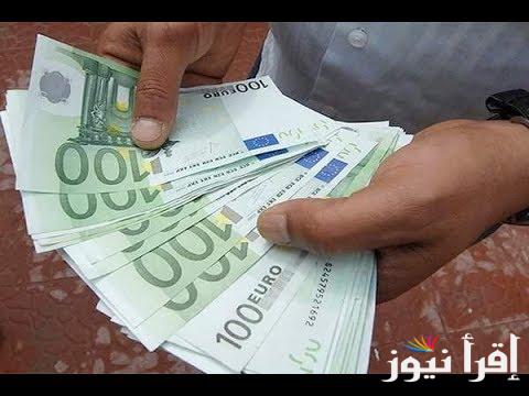 “في ختام التعاملات المسائية” سعر اليورو اليوم في السوق السوداء السبت 2 نوفمبر 2024 للشراء والبيع