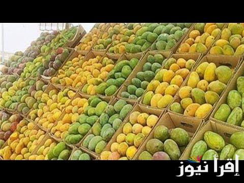 Fresh fruits and vegetables .. جدول أسعار الخضروات في سوق العبور اليوم الجمعة 1 نوفمبر 2024