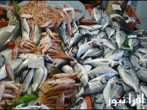 Fresh fish .. أسعار السمك اليوم للمستهلك الجمعة 1 نوفمبر 2024 واسعار الجمبرى داخل اسواق العبور الان