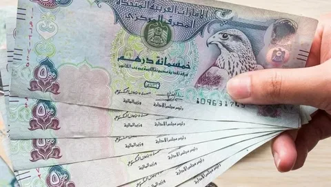 سعر الدرهم الإماراتي في السوق السوداء اليوم الجمعة الموافق 1 نوفمبر 2024 .. سعر الدرهم في البنك