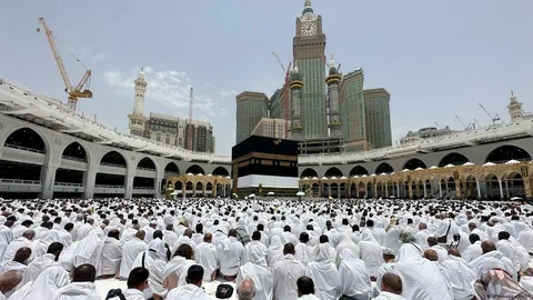 www hajj gov eg استمارة التسجيل .. تعرف على أهم الشروط وخطوات التقديم بالقرعة