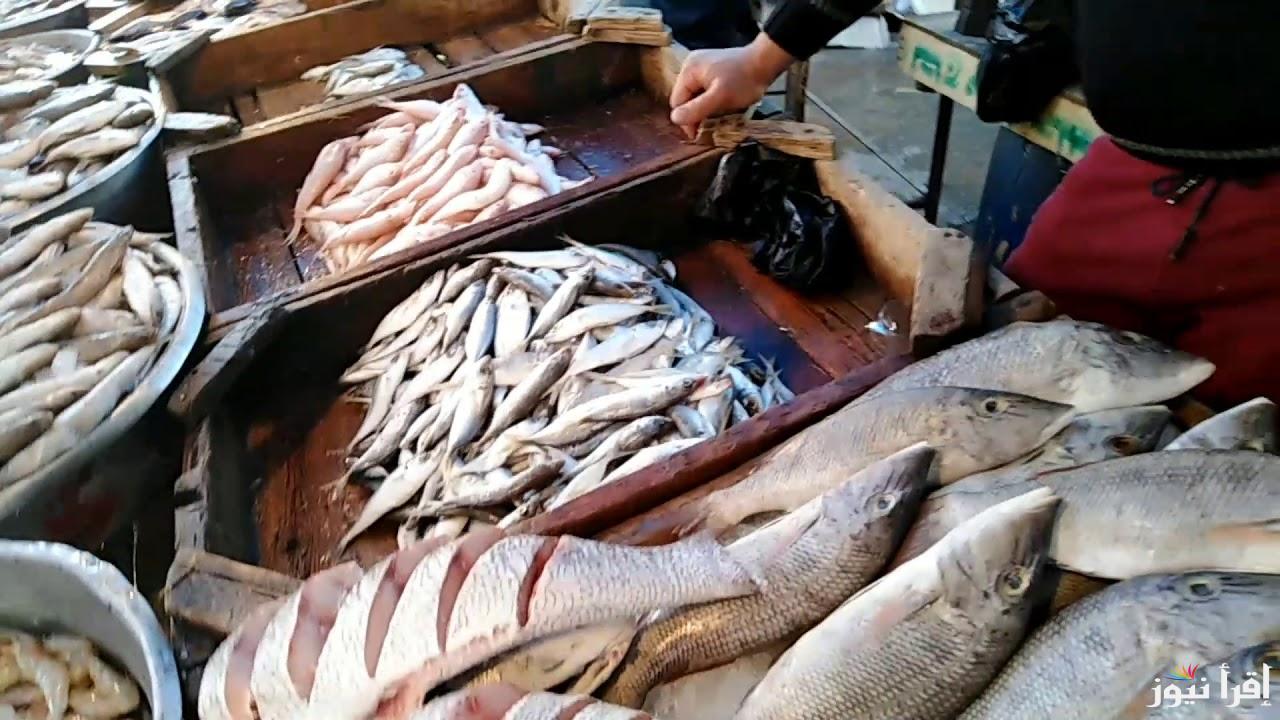 Fresh and frozen fish .. اسعار السمك اليوم الاحد 3 نوفمبر 2024 بعد الارتفاع داخل الاسواق