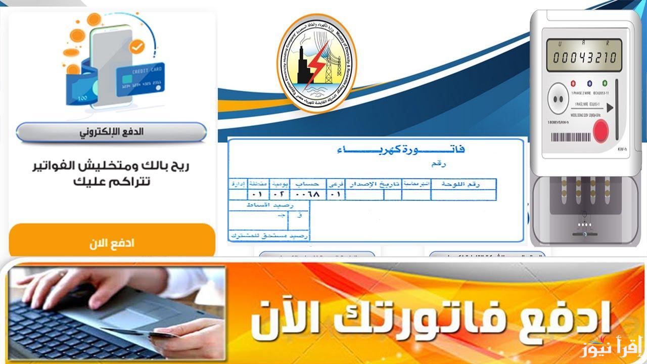 رابط استعلام عن فاتورة الكهرباء برقم العداد لشهر نوفمبر 2024 من خلال moee.gov.eg وخطوات الدفع الكترونياَ